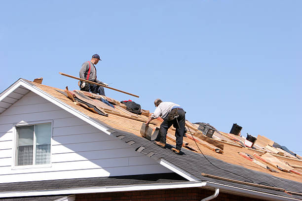 Best Storm Damage Roof Repair  in Herscher, IL